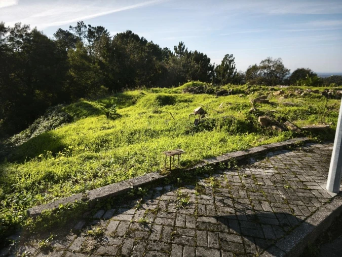Terreno para Venda em O. Azeméis, Riba-Ul, Ul, Macinhata Seixa, Madail Foto 4
