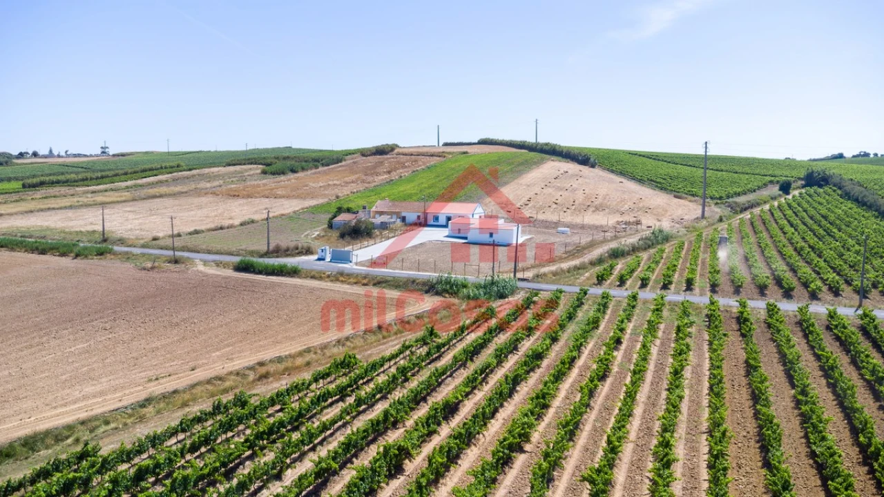 Moradia T2 para Venda em São Pedro da Cadeira Foto 2