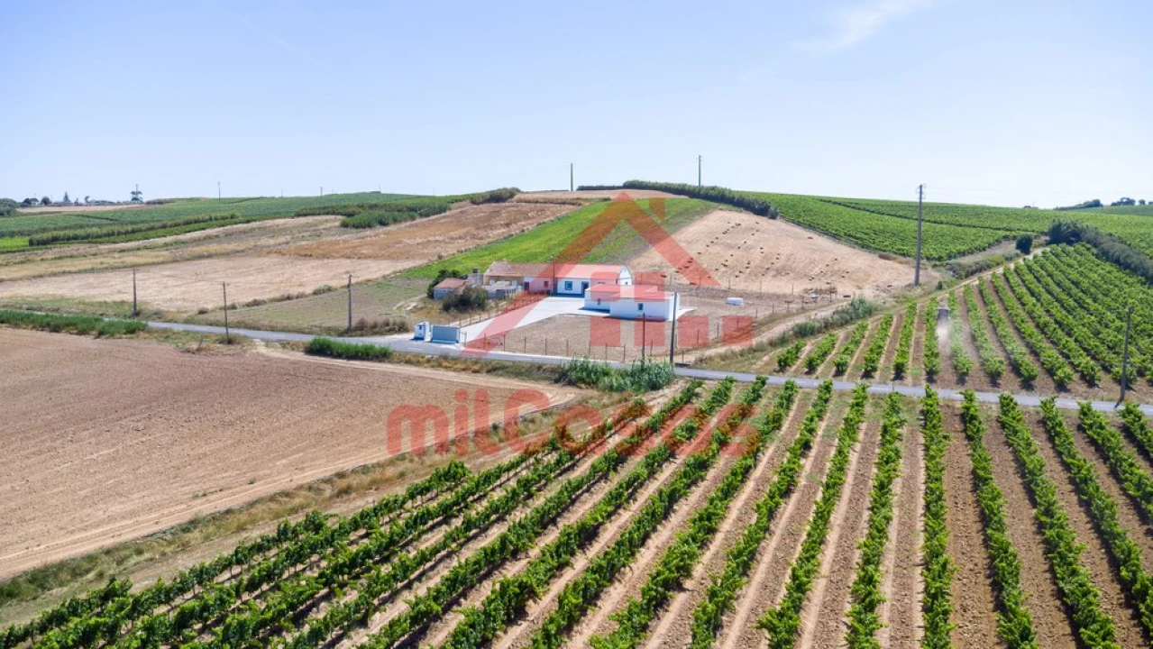 Moradia T2 para Venda em São Pedro da Cadeira Foto 43