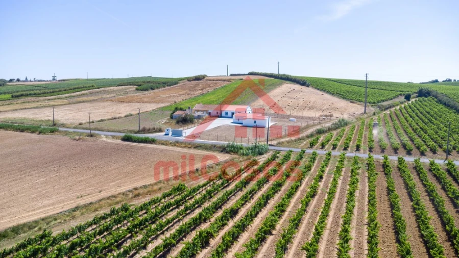 Moradia T2 para Venda em São Pedro da Cadeira Foto 43