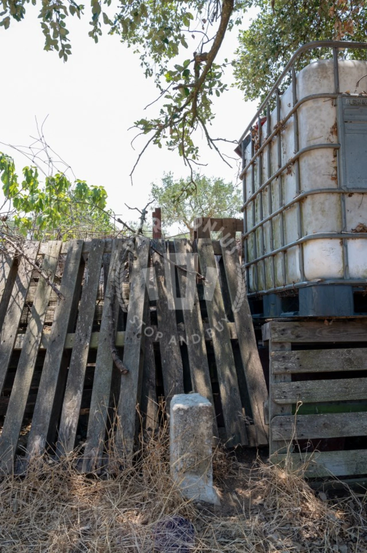 Quinta para Venda em Abela Foto 6
