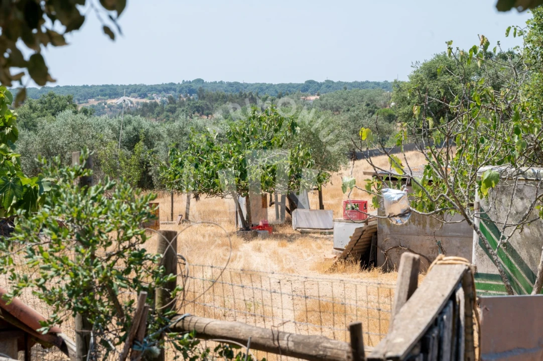 Quinta para Venda em Abela Foto 10