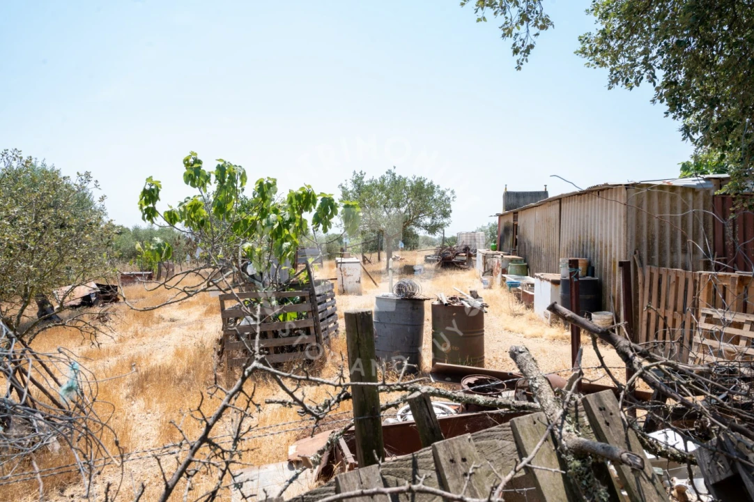 Quinta para Venda em Abela Foto 19