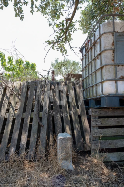 Quinta para Venda em Abela