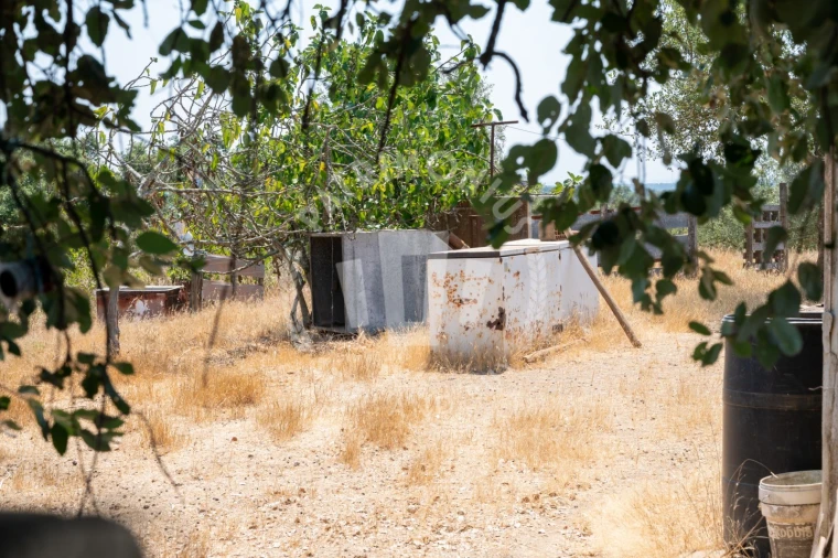 Quinta para Venda em Abela Foto 9