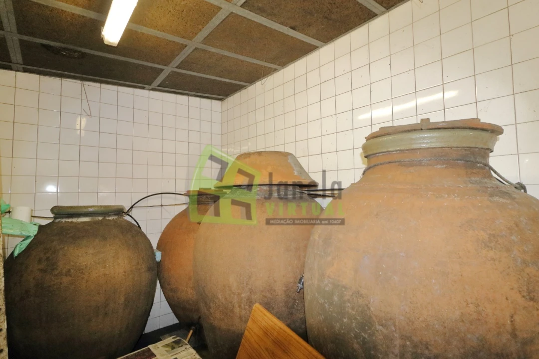 Quinta T4 para Venda em Cabeção Foto 38