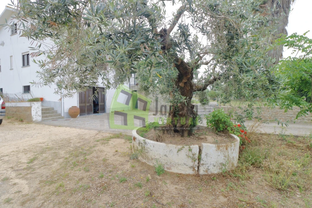 Quinta T4 para Venda em Cabeção Foto 42
