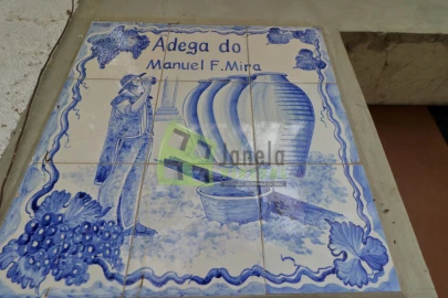 Quinta T4 para Venda em Cabeção