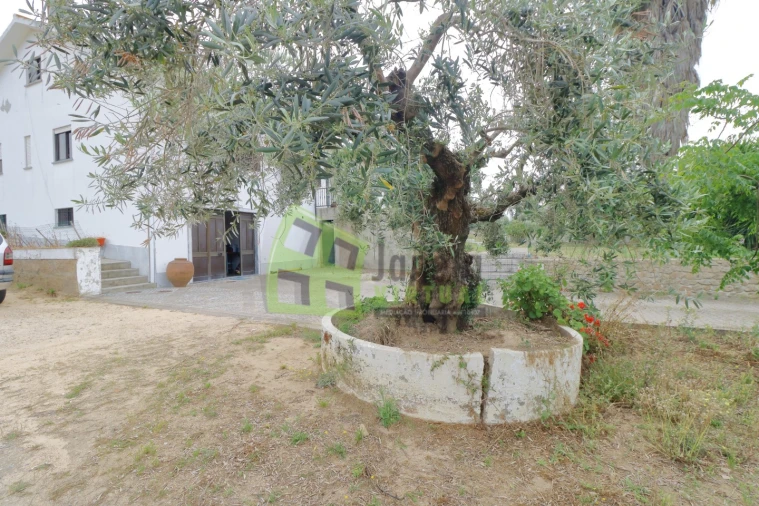Quinta T4 para Venda em Cabeção Foto 42