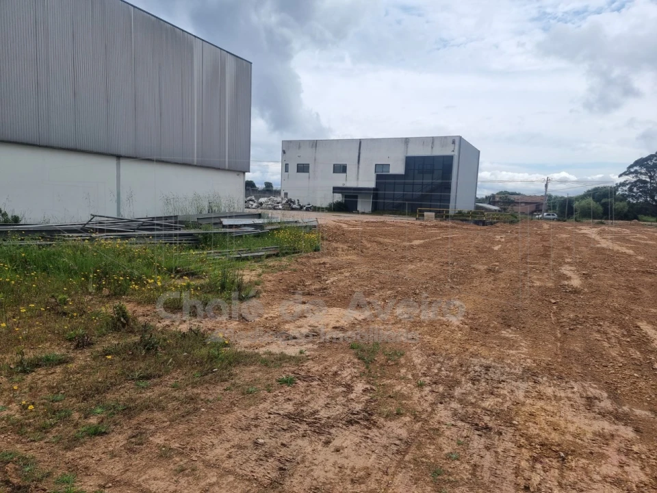 Armazém para Venda em Albergaria-A-Velha e Valmaior Foto 3