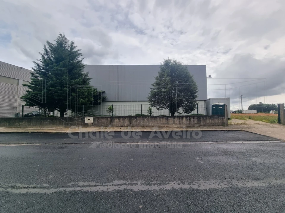 Armazém para Venda em Albergaria-A-Velha e Valmaior Foto 4