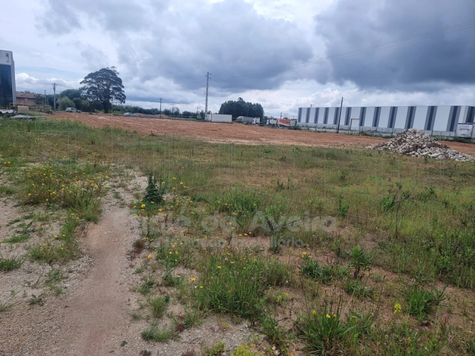 Armazém para Venda em Albergaria-A-Velha e Valmaior Foto 9