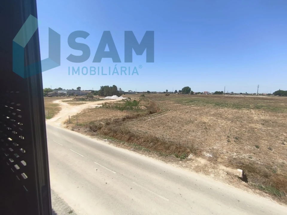 Loja para Venda em Salvaterra de Magos e Foros de Salvaterra Foto 23