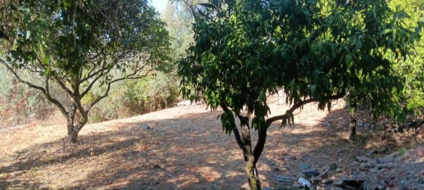 Moradia T2 para Venda em Mação, Penhascoso e Aboboreira
