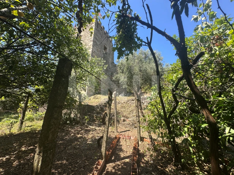 Apartamento T4 para Venda em Castelo Branco Foto 33