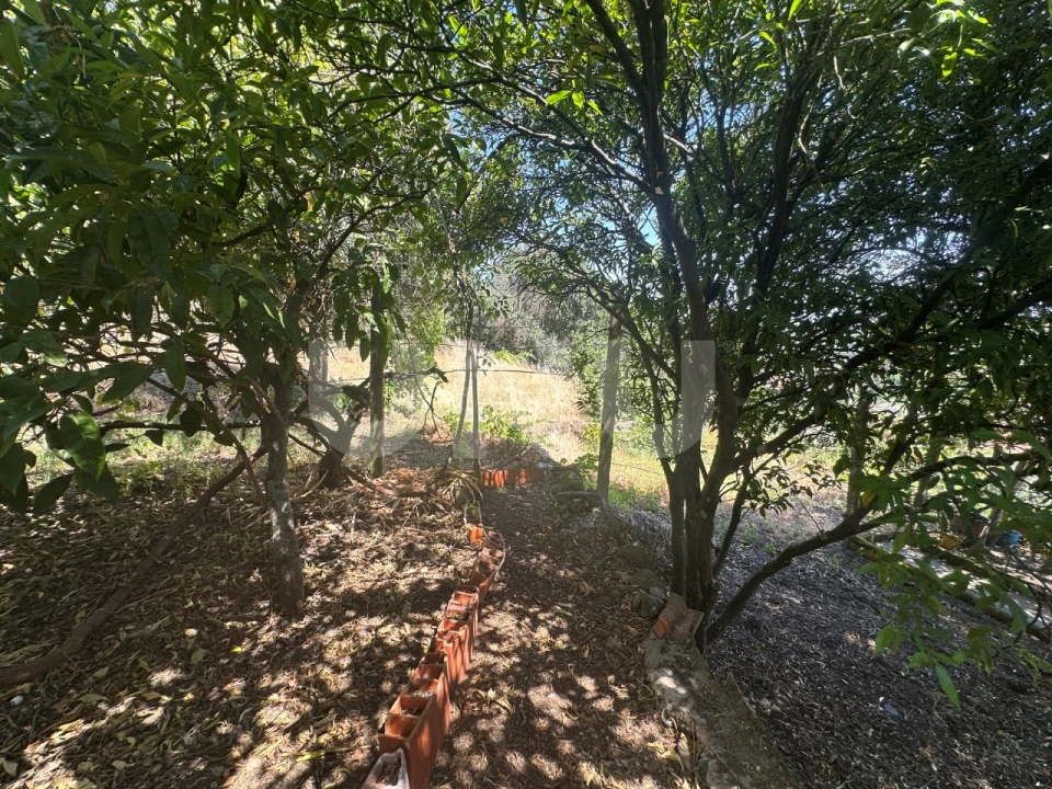 Apartamento T4 para Venda em Castelo Branco Foto 31