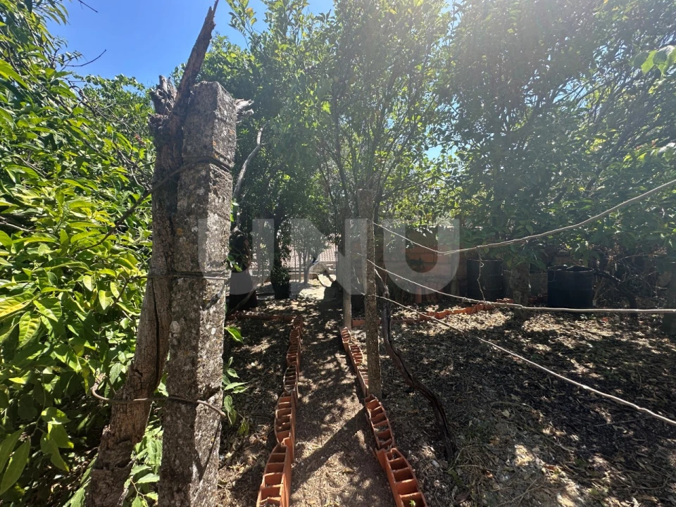 Apartamento T4 para Venda em Castelo Branco Foto 32