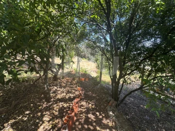 Apartamento T4 para Venda em Castelo Branco