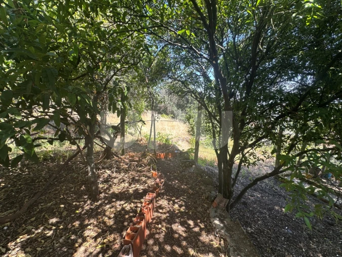 Apartamento T4 para Venda em Castelo Branco Foto 31