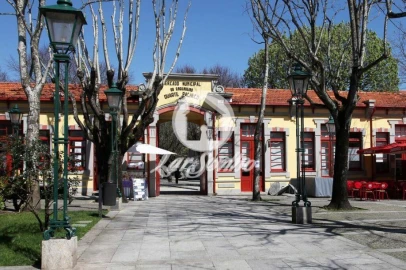 Terreno para Venda em Azurara