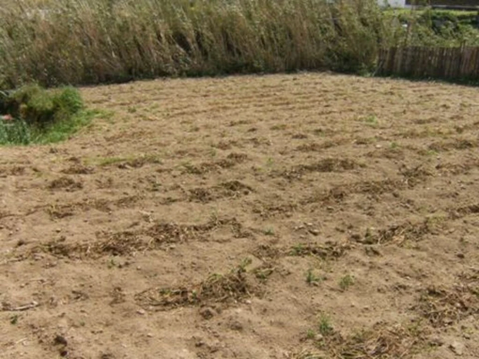 Terreno para Venda em Pilar da Bretanha Foto 4