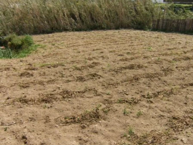 Terreno para Venda em Pilar da Bretanha Foto 4