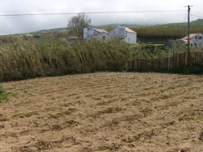 Terreno para Venda em Pilar da Bretanha Foto 5