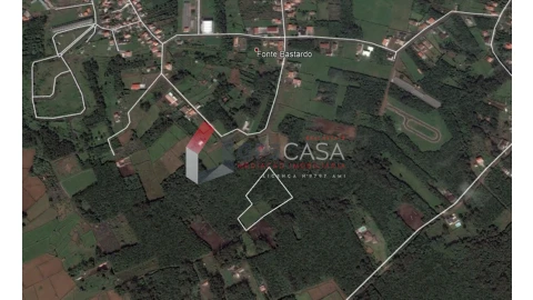 Terreno para Venda em Porto Martins