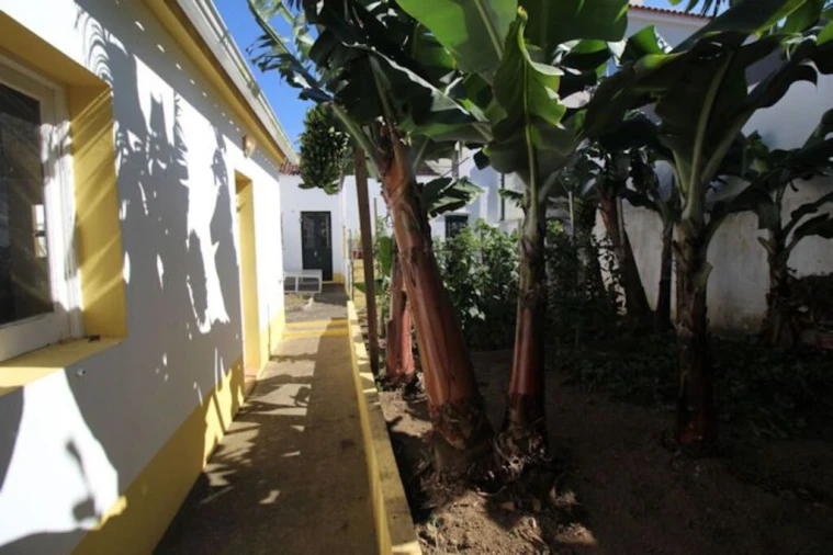 Moradia T3 para Venda em Ponta Delgada (São José) Foto 30