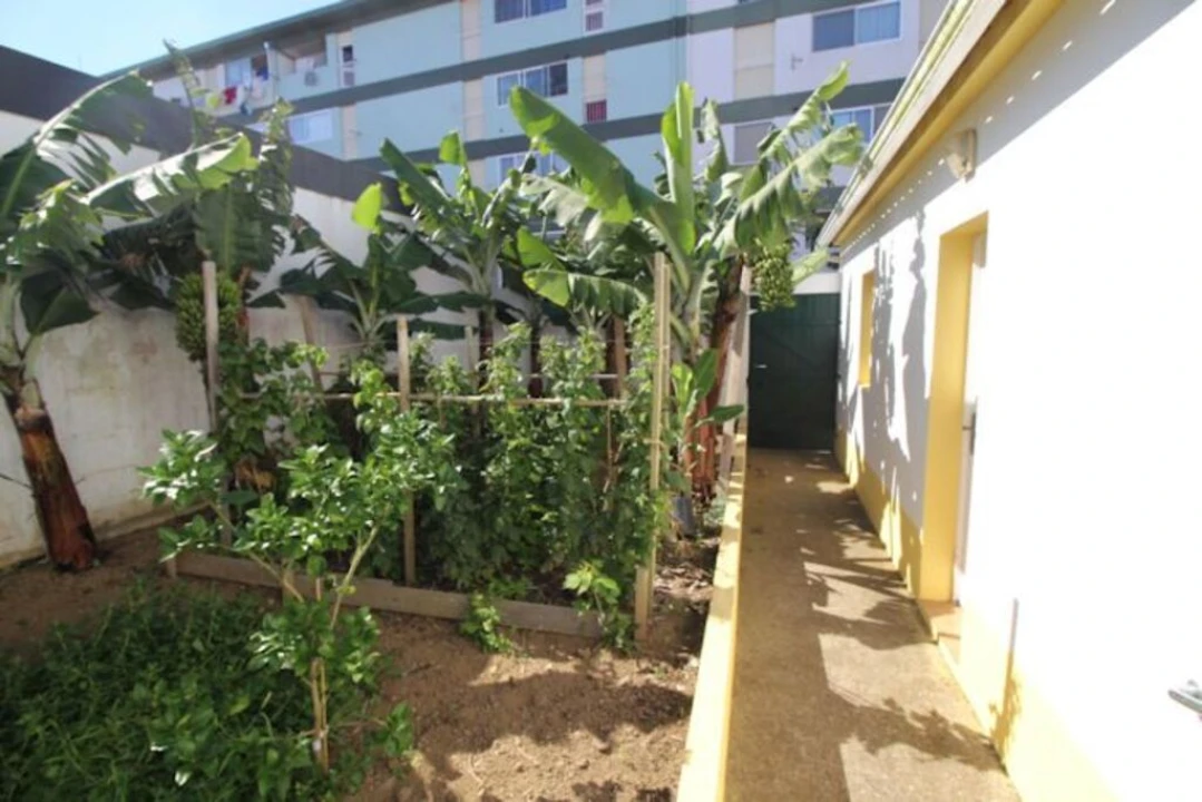 Moradia T3 para Venda em Ponta Delgada (São José) Foto 20