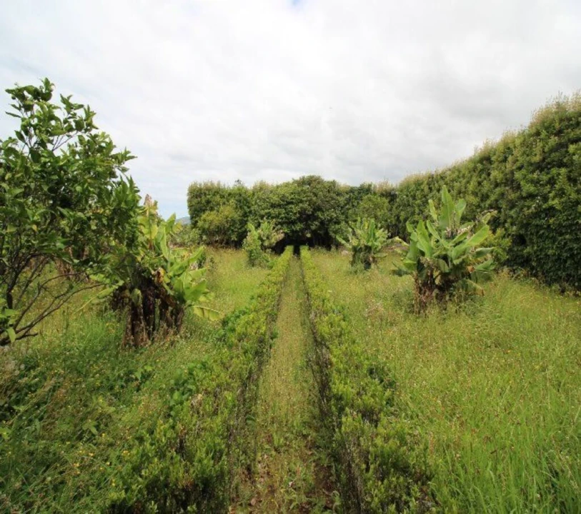 Terreno para Venda em Rabo de Peixe Foto 4