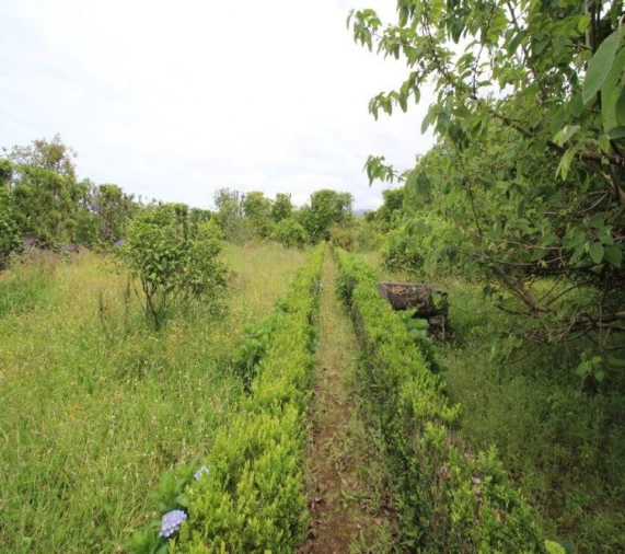 Terreno para Venda em Rabo de Peixe Foto 10