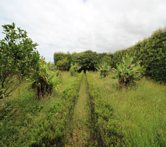 Terreno para Venda em Rabo de Peixe Foto 4