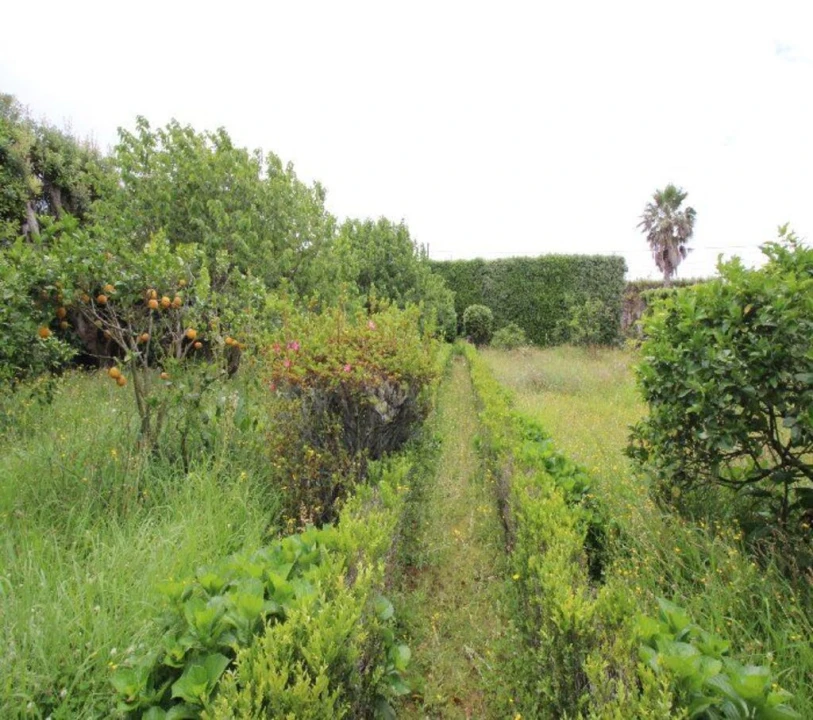 Terreno para Venda em Rabo de Peixe Foto 3
