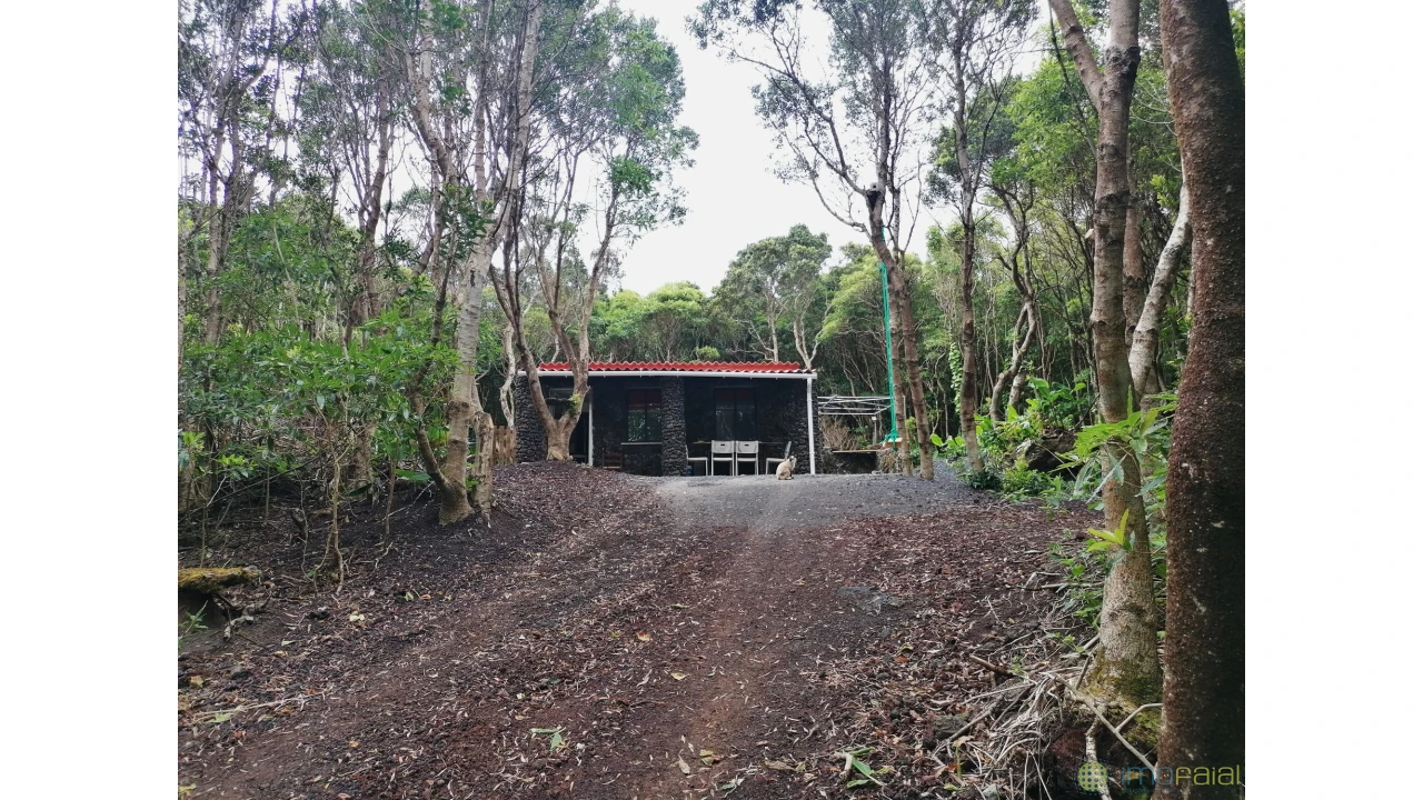 Moradia T5 para Venda em Capelo Foto 59