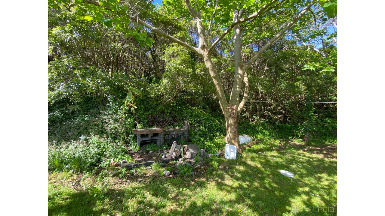 Moradia T5 para Venda em Capelo Foto 28