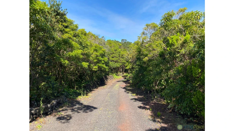 Moradia T5 para Venda em Capelo Foto 2