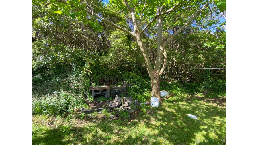 Moradia T5 para Venda em Capelo Foto 28