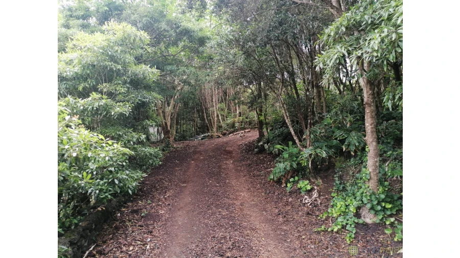 Moradia T5 para Venda em Capelo Foto 58