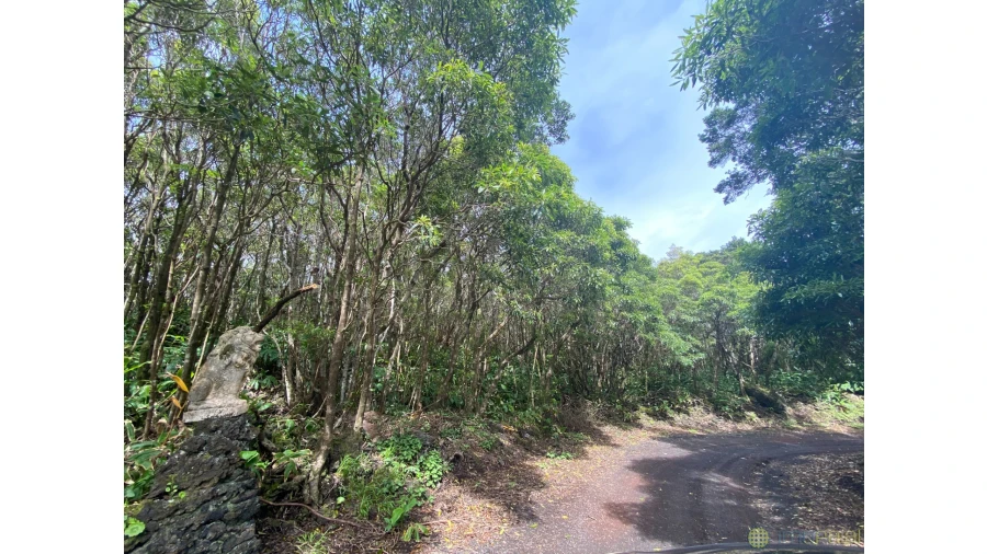 Moradia T5 para Venda em Capelo Foto 1