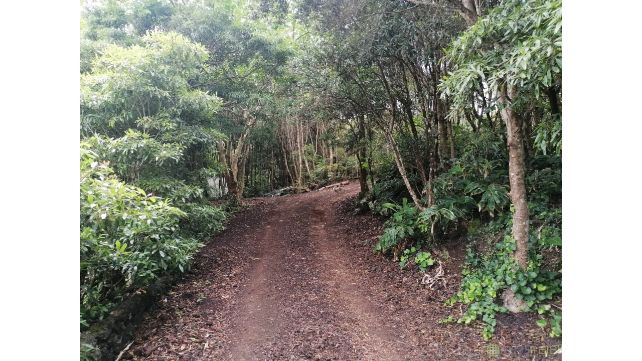 Moradia T5 para Venda em Capelo Foto 58