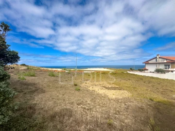 Terreno para Venda em Silveira