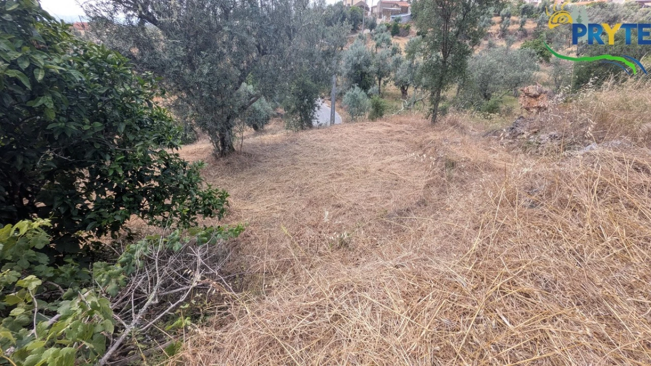 Moradia para Venda em Proença-A-Nova e Peral Foto 5