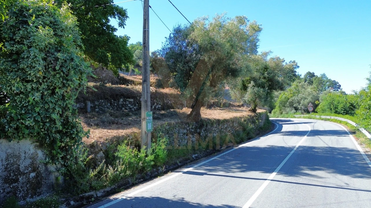 Terreno para Venda em Bárrio e Cepões Foto 3