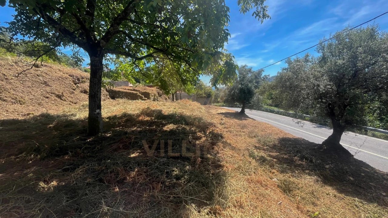 Terreno para Venda em Bárrio e Cepões Foto 5