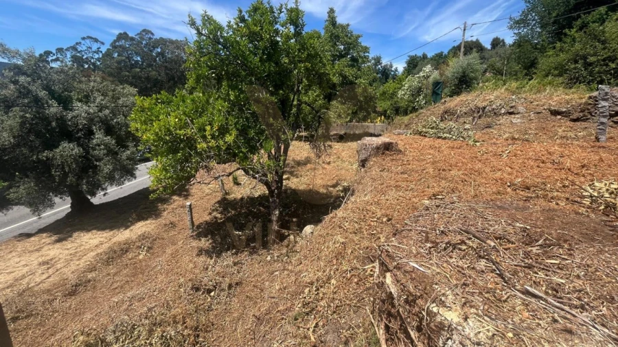 Terreno para Venda em Bárrio e Cepões Foto 4