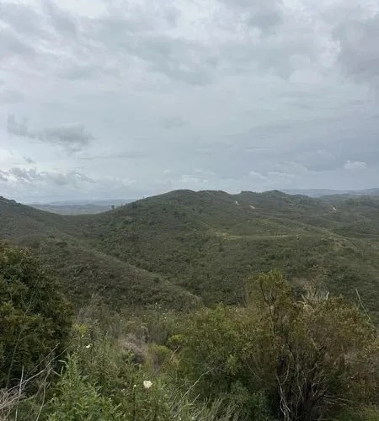 Terreno Agricola ou Rústico para Venda em São Marcos da Serra Foto 17