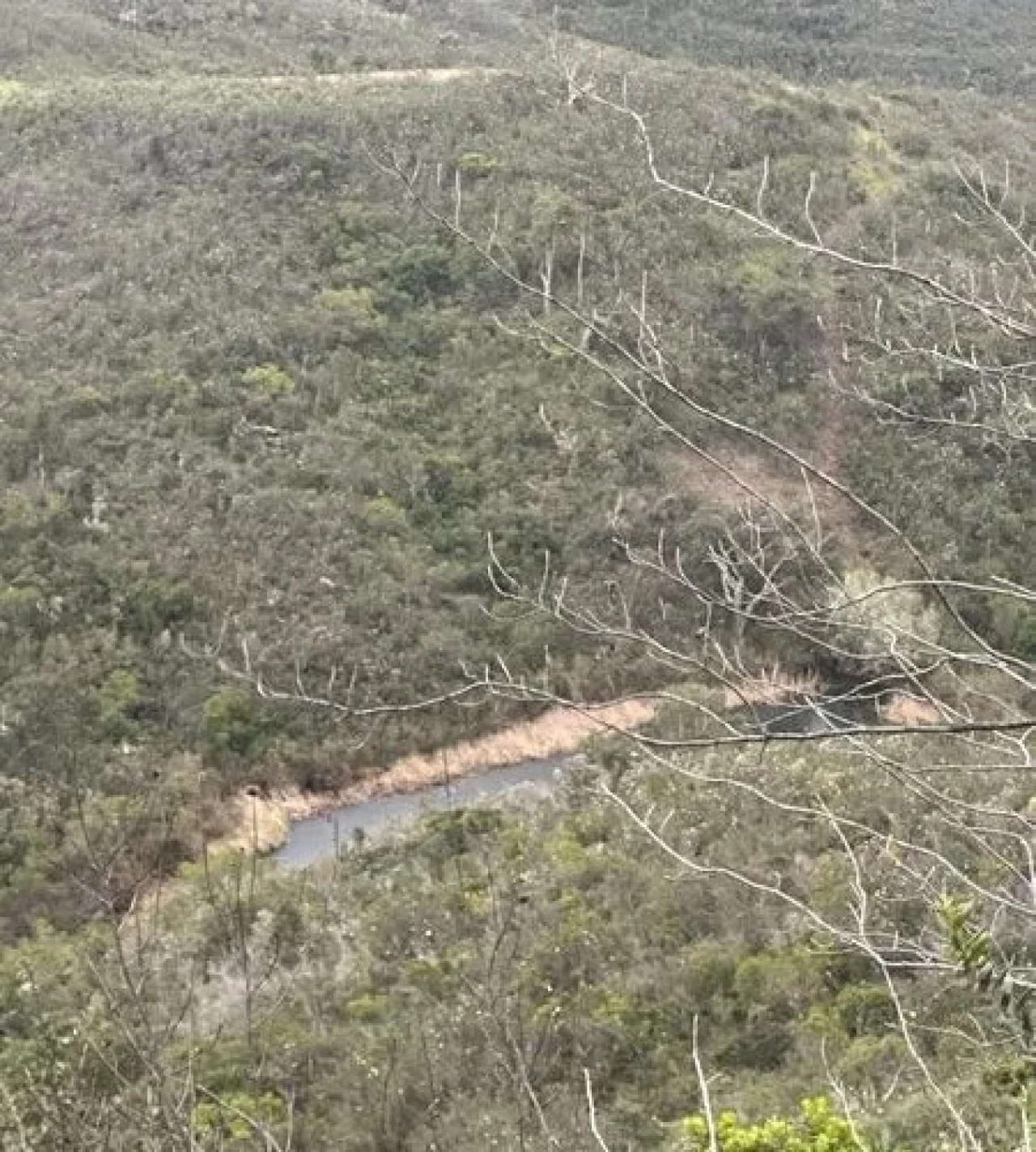 Terreno Agricola ou Rústico para Venda em São Marcos da Serra Foto 18