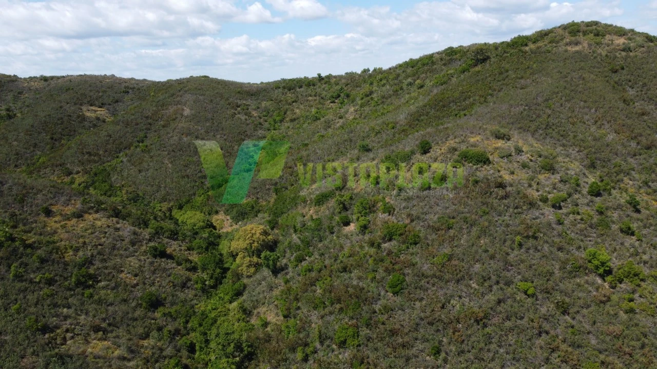 Terreno Agricola ou Rústico para Venda em São Marcos da Serra Foto 12