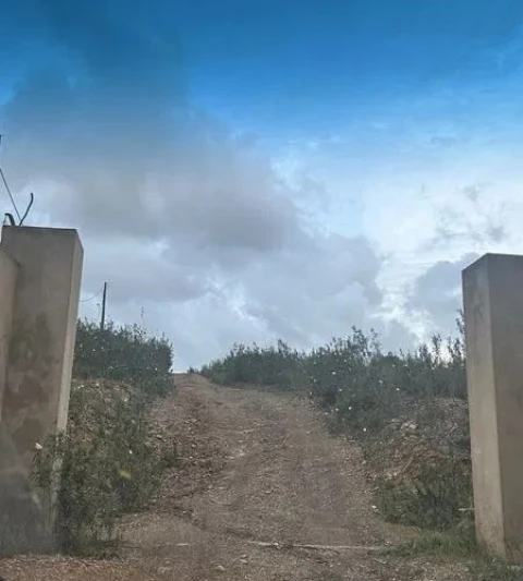 Terreno Agricola ou Rústico para Venda em São Marcos da Serra